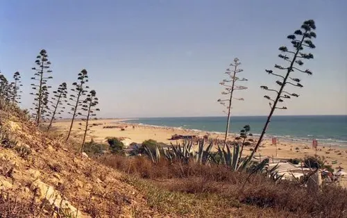 Imagen de Playa Los Bateles