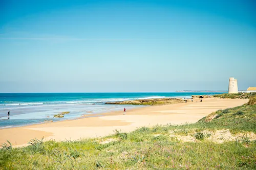 Imagen de Playa de El Palmar