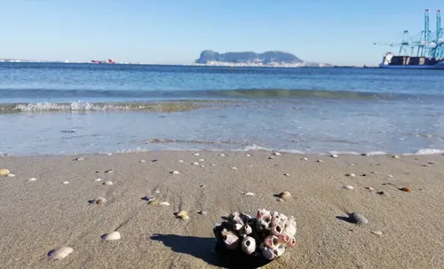 Imagen de Playa de la Concha