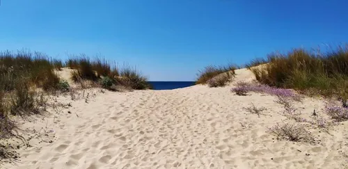 Imagen de Playa de La Chancla o El Membrillo