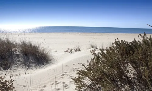 Imagen de Playa de la Redondela