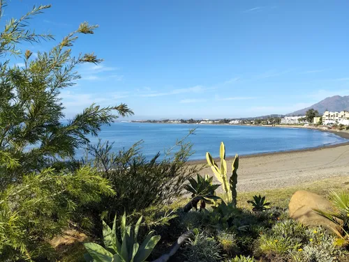 Imagen de Playa Guadalmansa