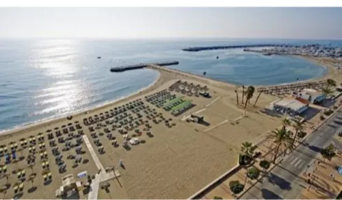 Imagen de Playa de Los Boliches - Gaviotas