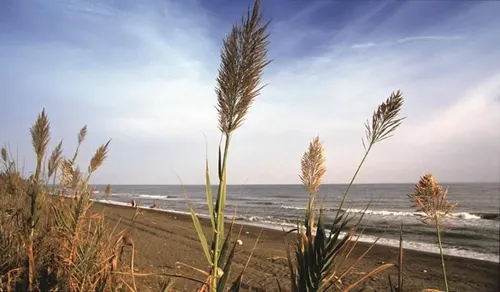 Imagen de Playa de Benajarafe