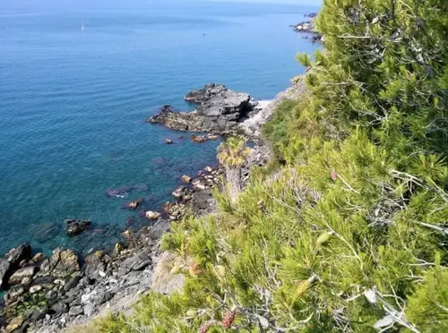 Imagen de Cala El Pargo