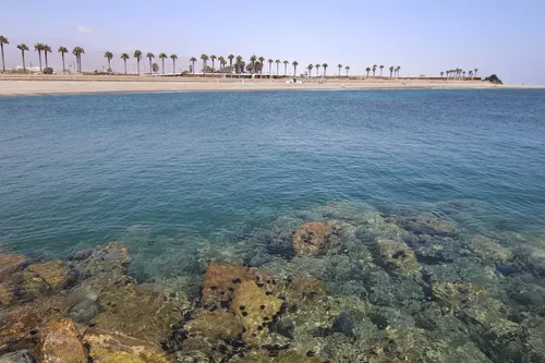 Imagen de Playa del Censo