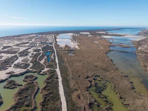 Imagen de Playa de Punta Entinas - Sabinar
