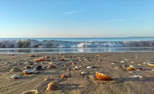 Imagen de Playa del Remo