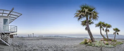 Imagen de Playa El Palmeral