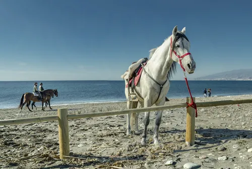 Imagen de Playa de las Amoladeras