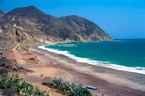 Imagen de Playa El Algarrobico