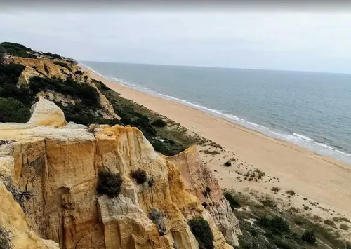 Imagen de Playa Asperillo