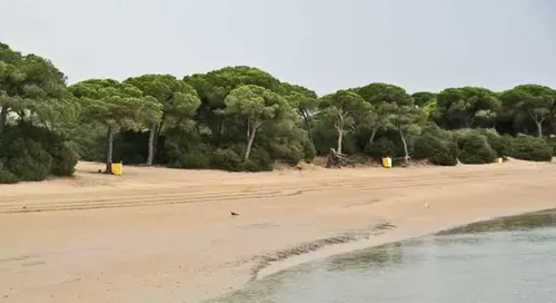 Imagen de Playa del Conchal (Fluvial)