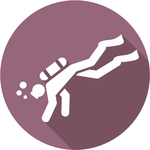 Natación